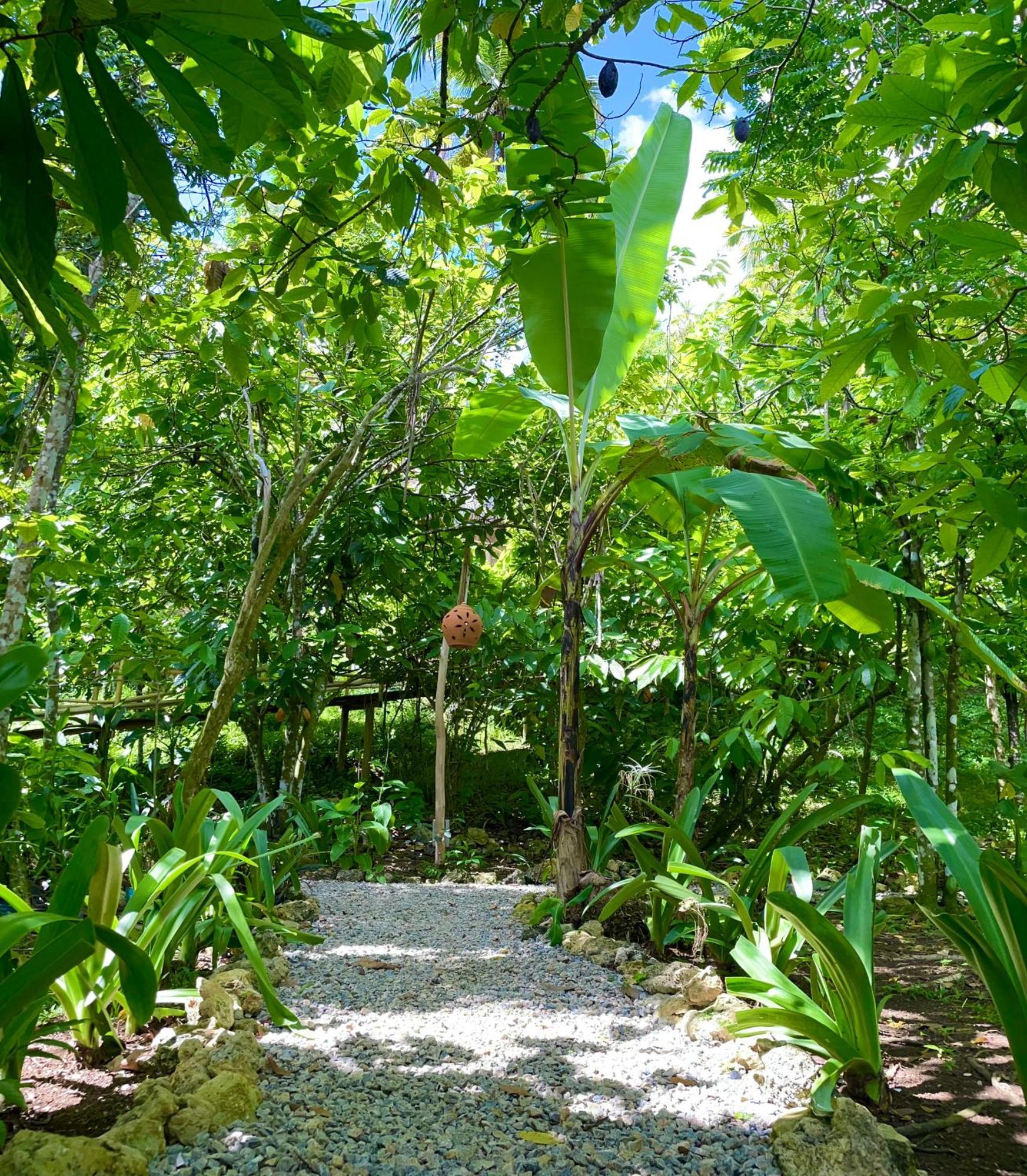 Rancho Romana Ecolodge Park V-01 El Limon Eksteriør bilde