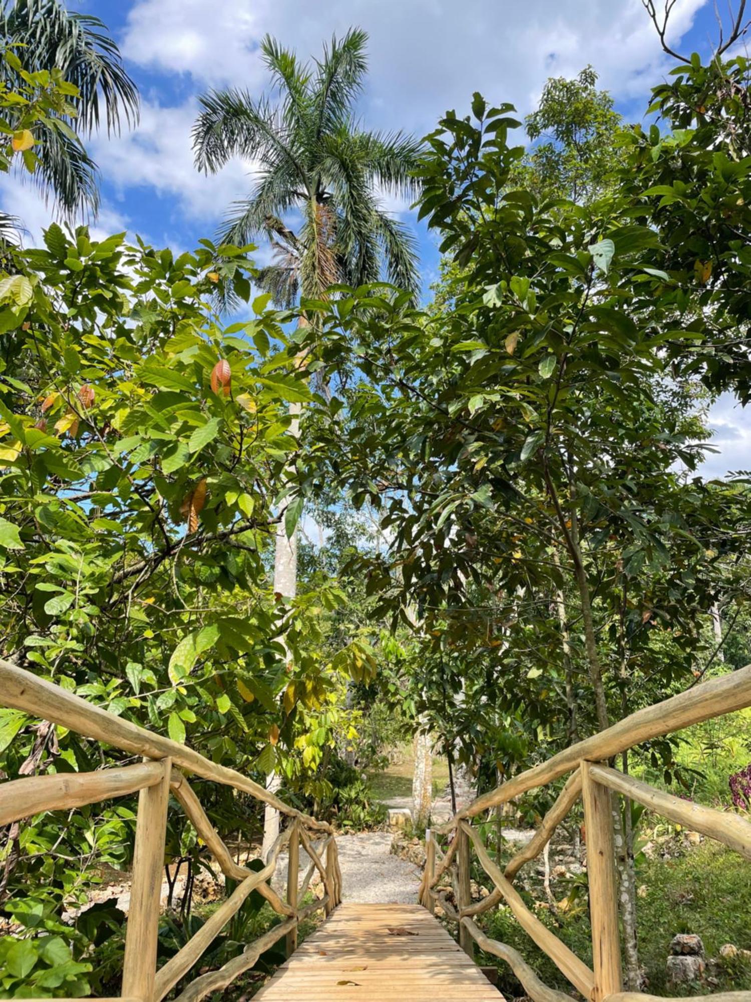 Rancho Romana Ecolodge Park V-01 El Limon Eksteriør bilde