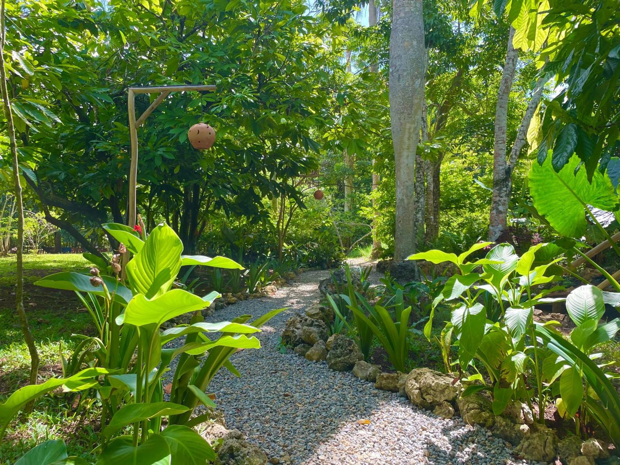 Rancho Romana Ecolodge Park V-01 El Limon Eksteriør bilde