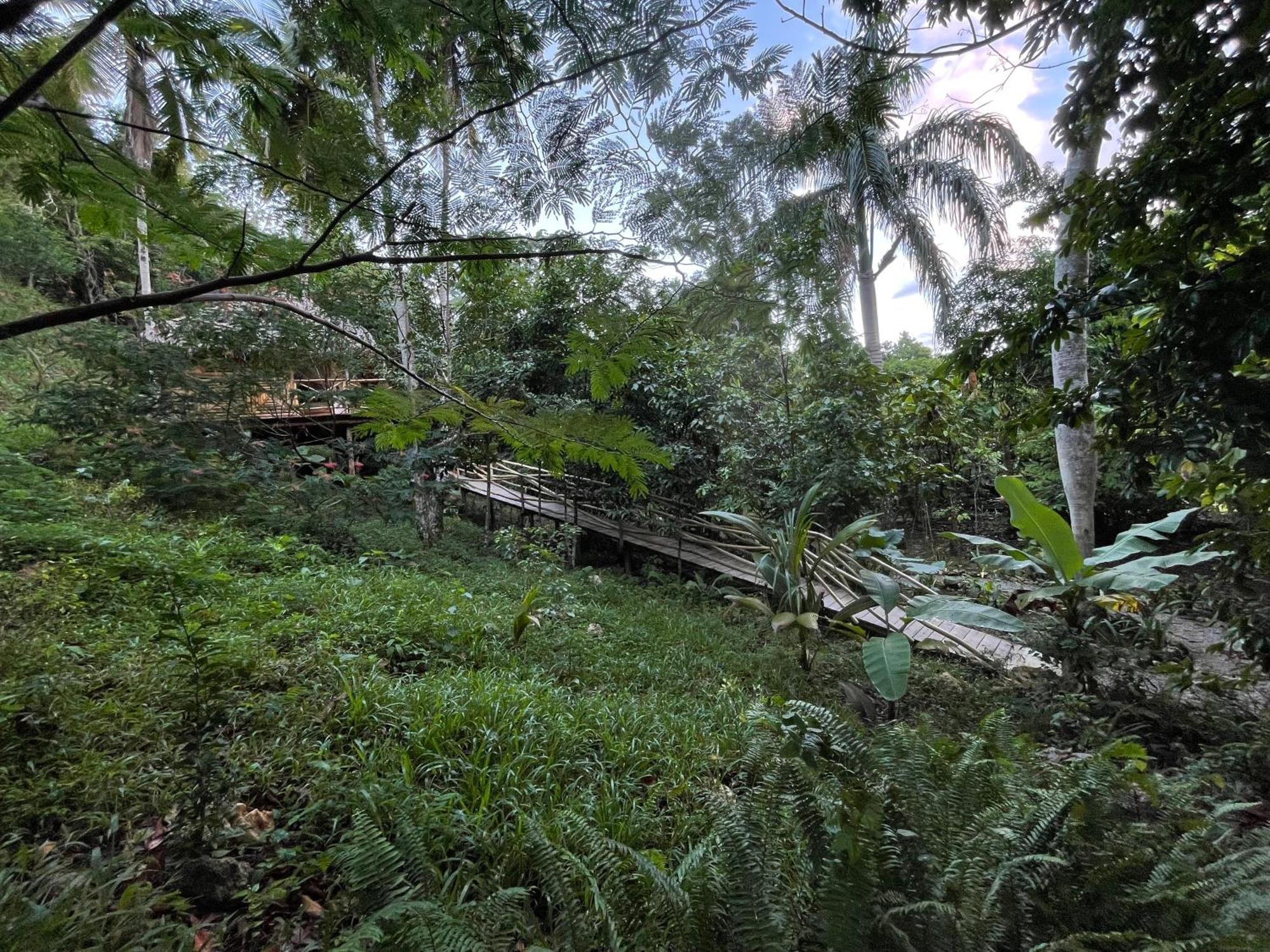 Rancho Romana Ecolodge Park V-01 El Limon Eksteriør bilde